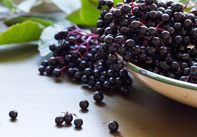 Elderberry Syrup